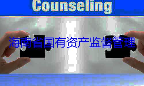 有福接受审理委员会党资产监督管海南省国有委副书记王查调查